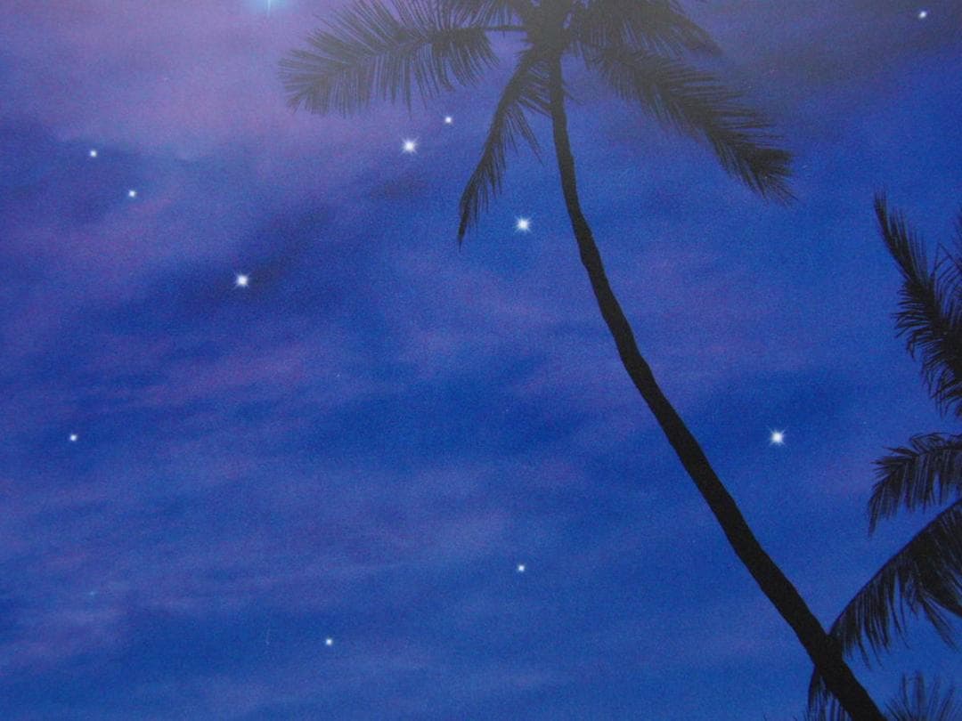 クリスチャン・ラッセン、【タヒチアン　ドリームス】、希少な額装用画集より