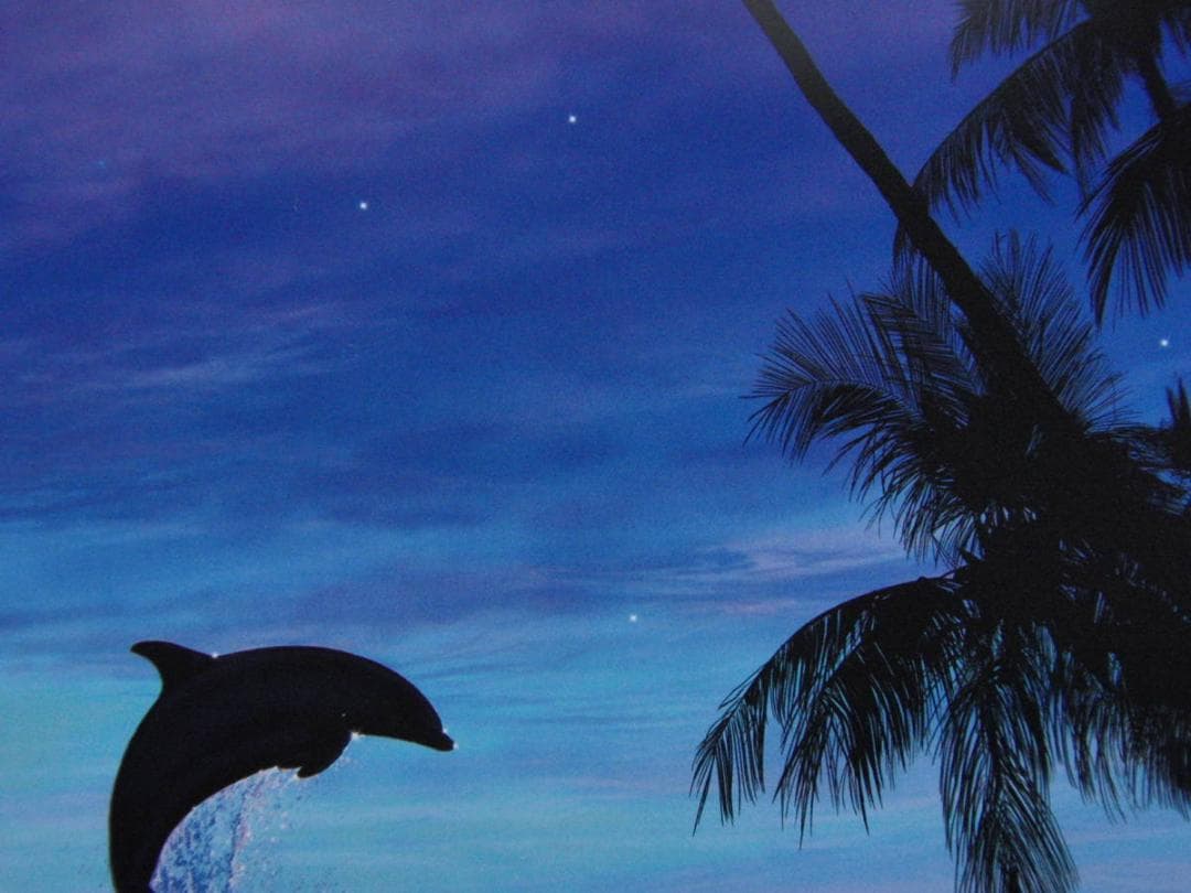 クリスチャン・ラッセン、【タヒチアン　ドリームス】、希少な額装用画集より