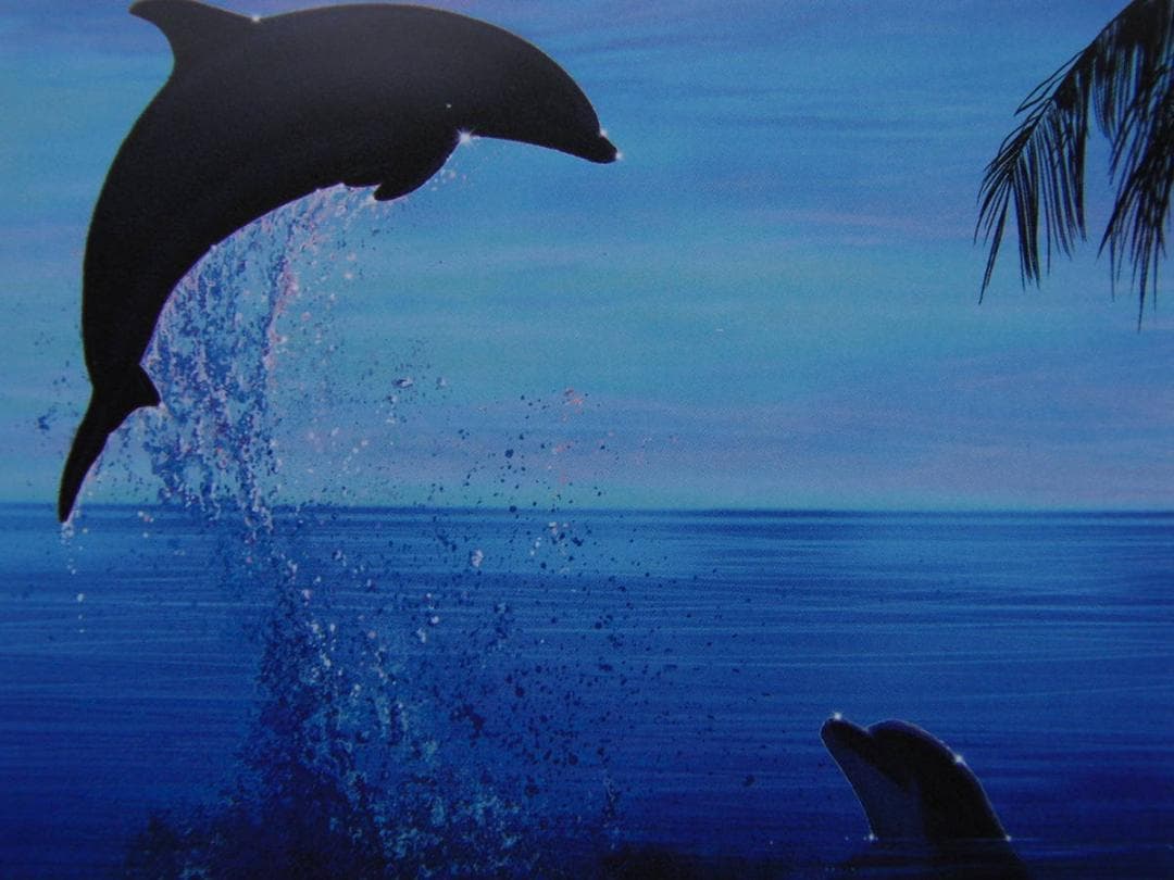 クリスチャン・ラッセン、【タヒチアン　ドリームス】、希少な額装用画集より