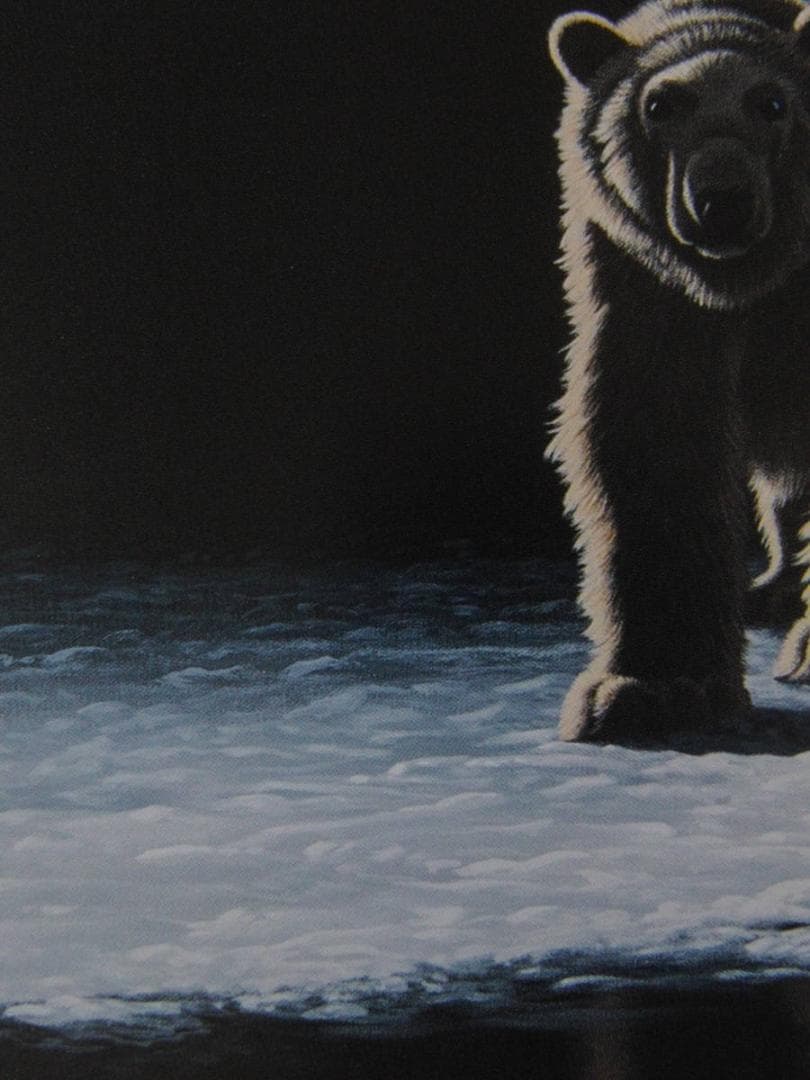 シム・シメール、【OUT OF THE DARKNESS】、希少な額装用画集より