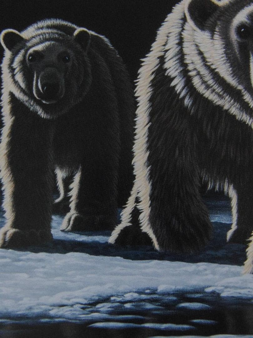 シム・シメール、【OUT OF THE DARKNESS】、希少な額装用画集より