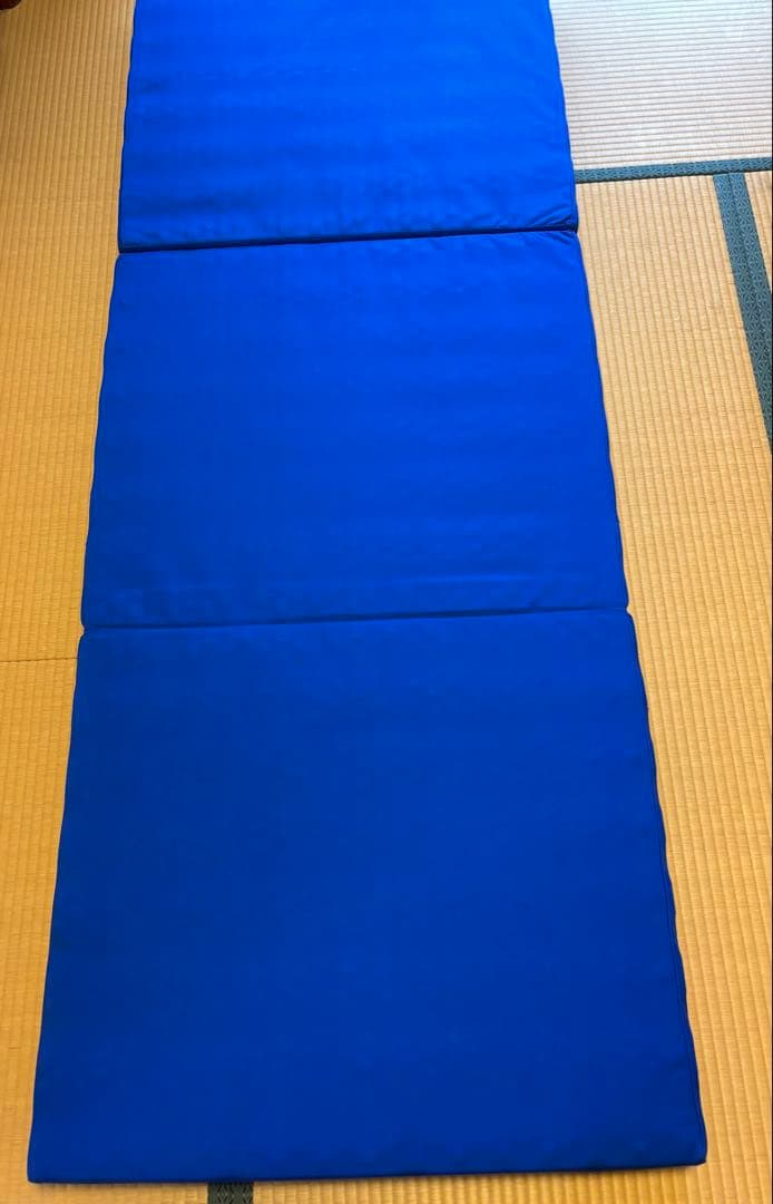 【送料無料】ヘルスウェーブゴールド 施術用 NSP（195×75×9cm）