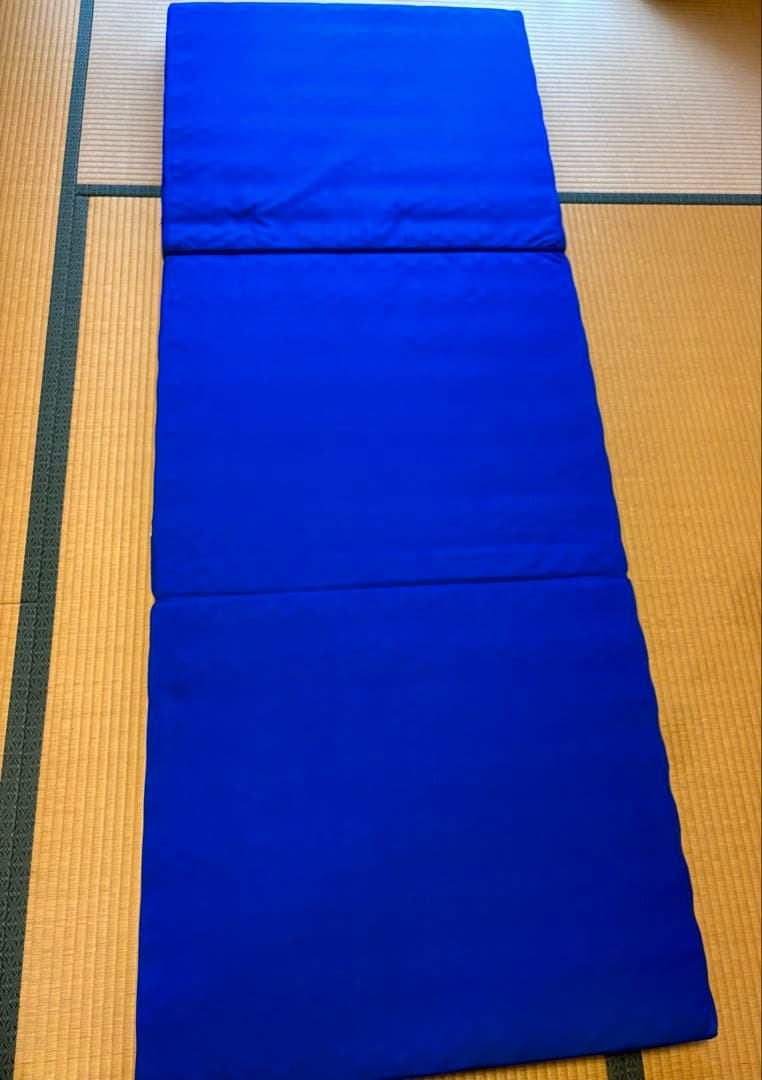 【送料無料】ヘルスウェーブゴールド 施術用 NSP（195×75×9cm）