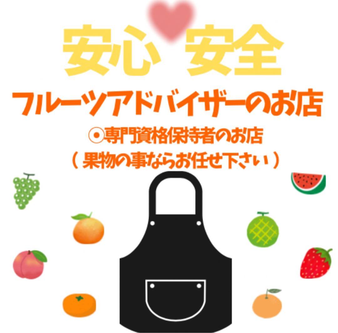 ㉚高知特産 露地栽培 土佐文旦 4L限定 文旦 約20kg 大玉 サイズ - メルカリ