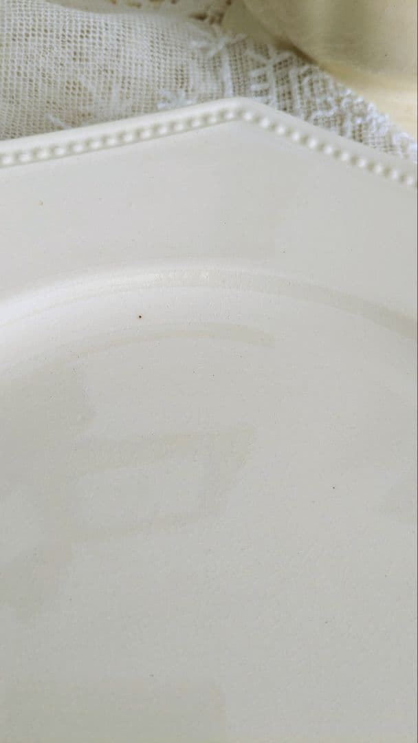 サルグミンヌ オクトゴナル プレート 平皿 フランス