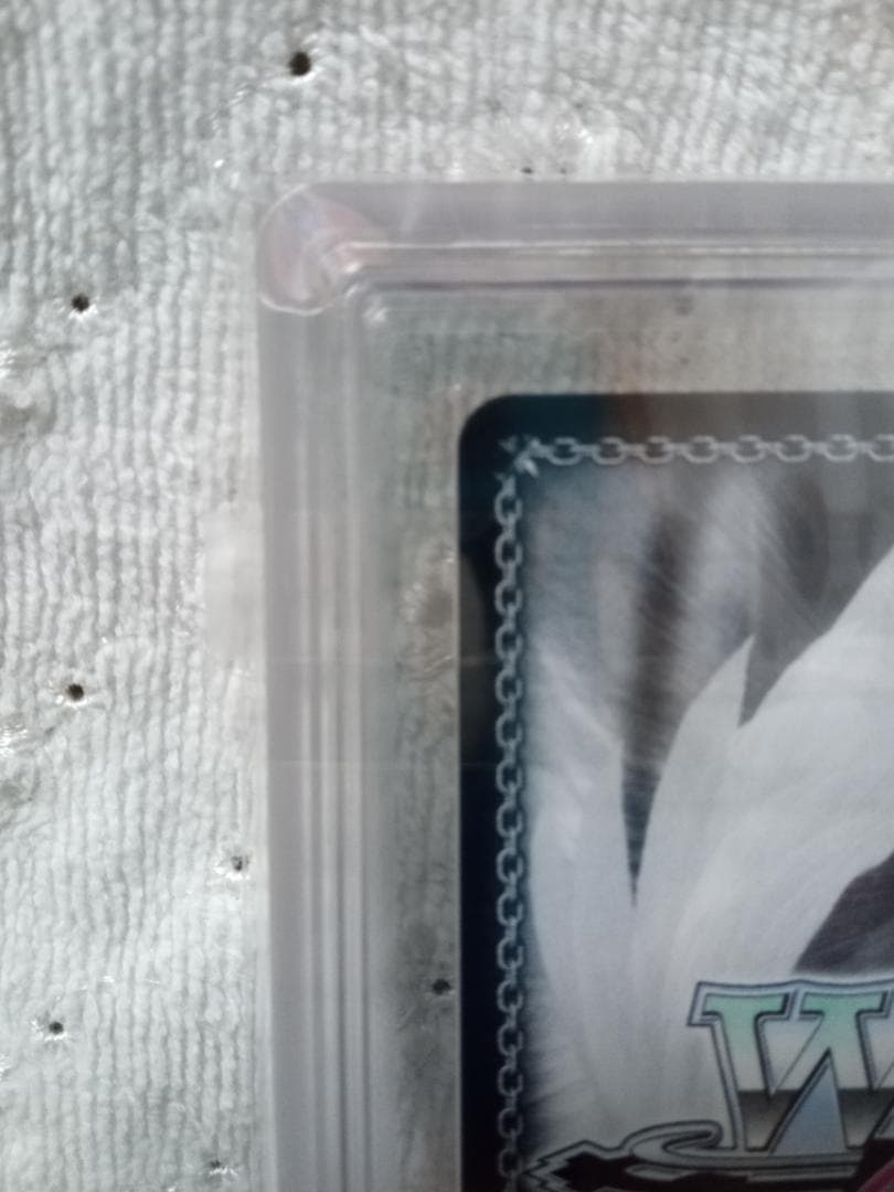 ヴァイスロゼ SSP 1000年ぶりの再会 パトリシア＆ノラ ARS 10+