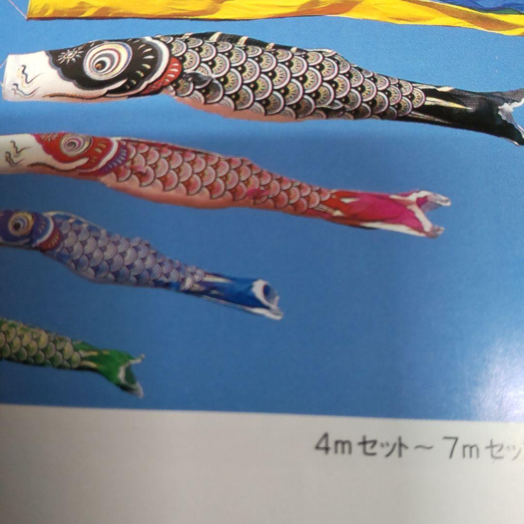 スパークル鯉 赤6m