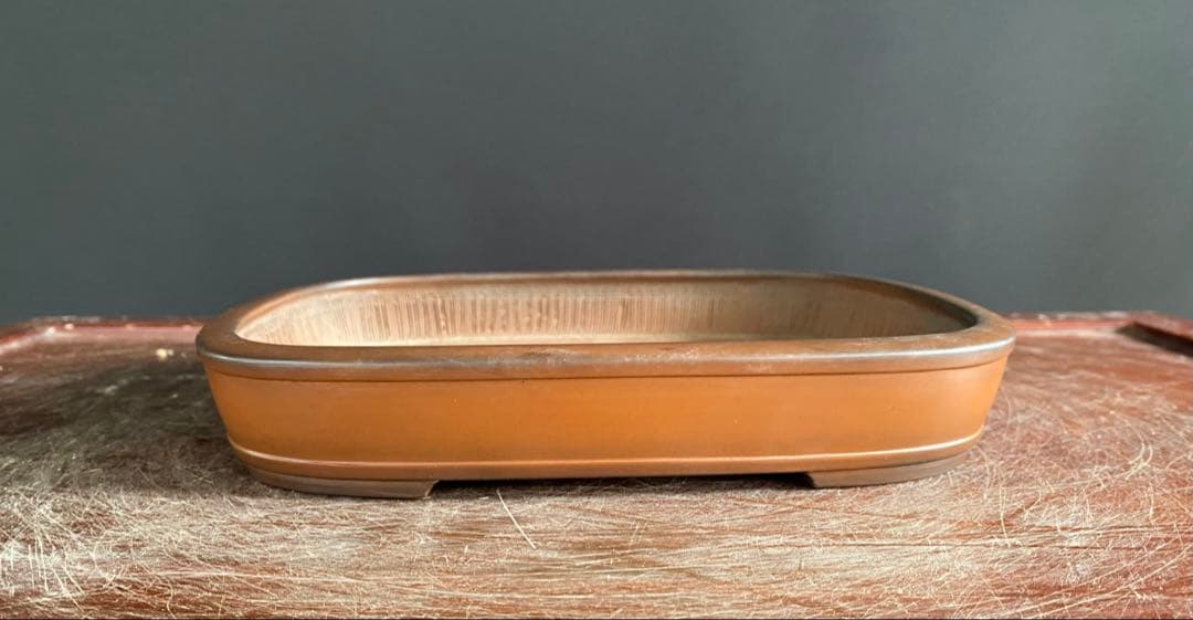 白木盆栽園　峰輝堂　盆栽鉢　横24.3センチ　鉢和鉢盆栽趣味陶器盆器植木鉢