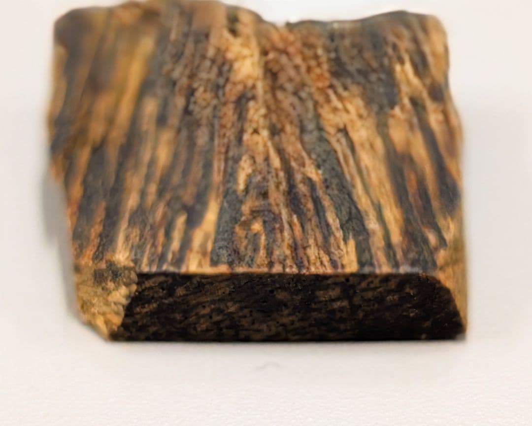 〈沈香〉　聞香　香木　沈香　香道　奇南　伽南　沉香