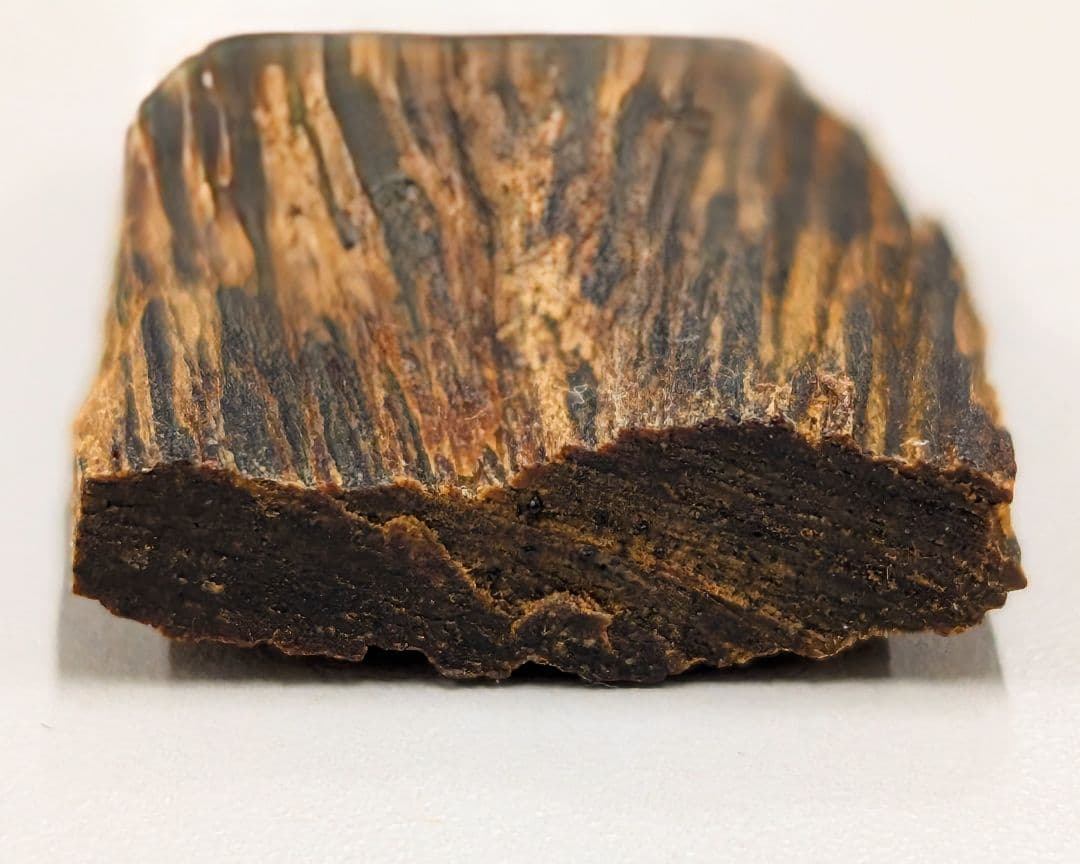 〈沈香〉　聞香　香木　沈香　香道　奇南　伽南　沉香