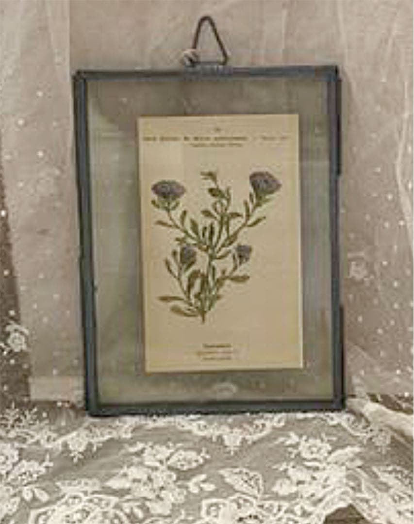 グラッシュマン❤壁掛けガラスフォトフレーム・M❤アイアン