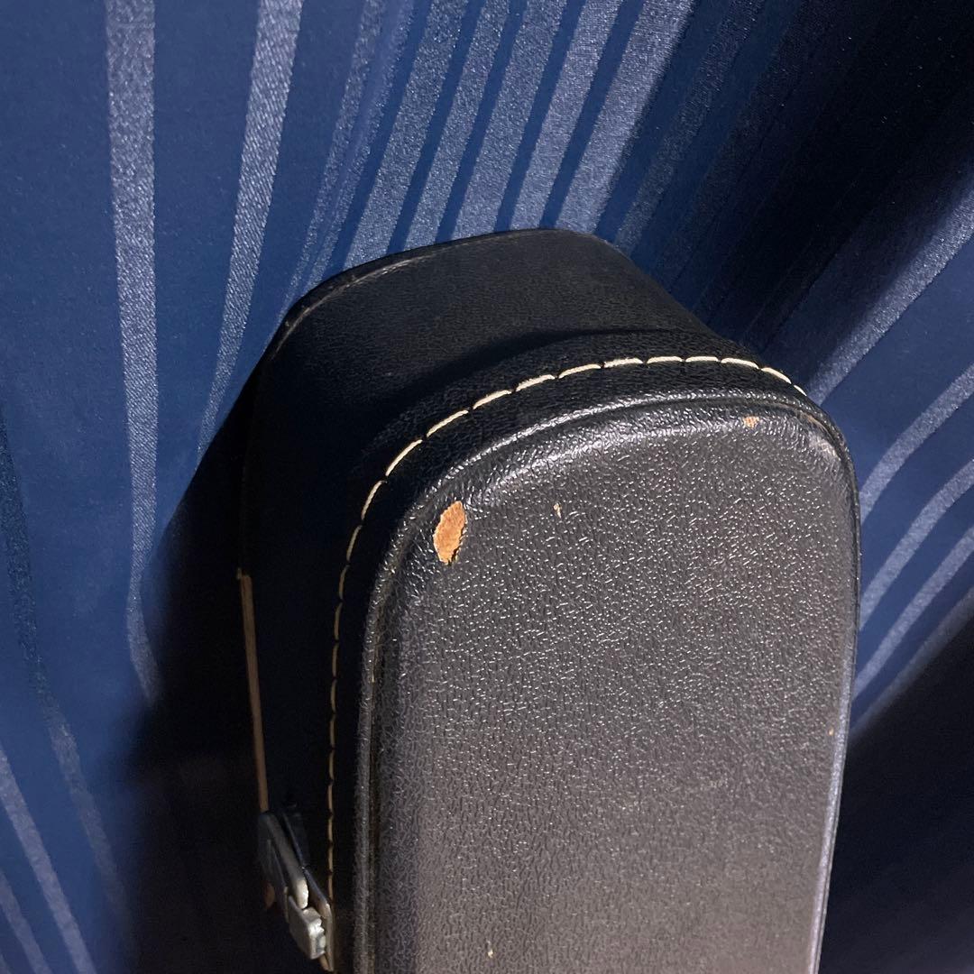 最終値下げ】takamine ギター T-F2TBS ハードケース付き