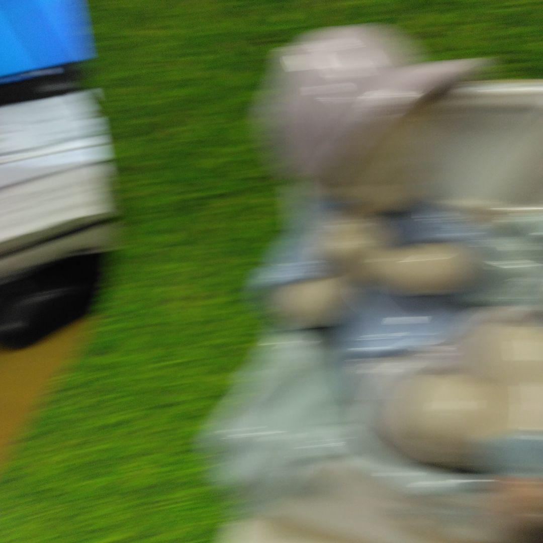 リヤドロ　少年と犬