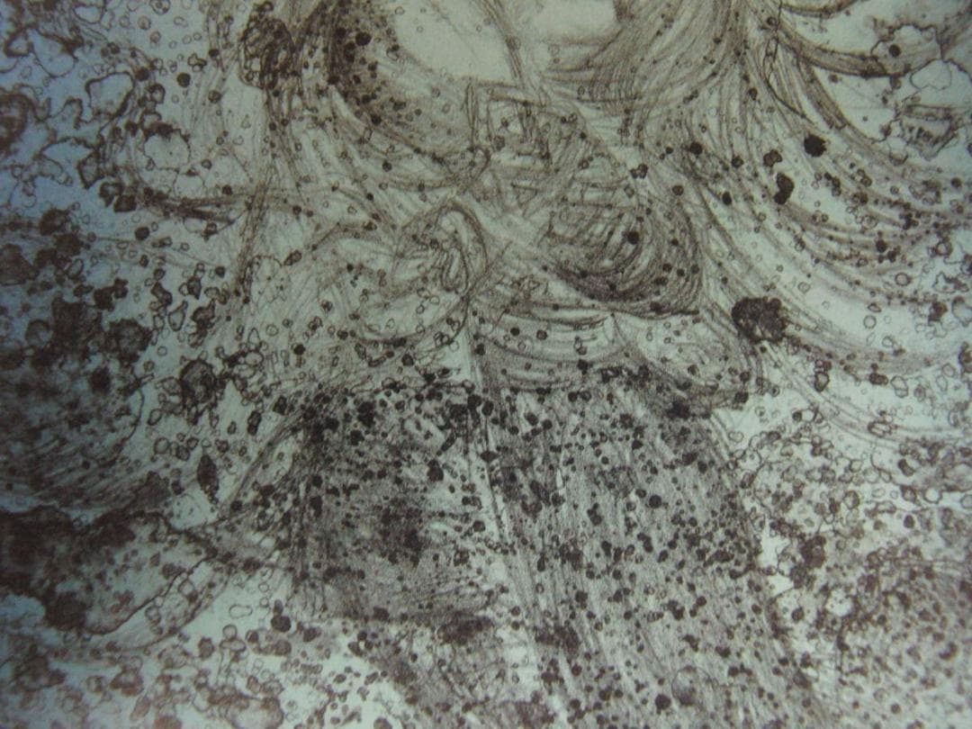 天野喜孝、【水夢】、希少な額装用画集より、状態良好、新品額装付