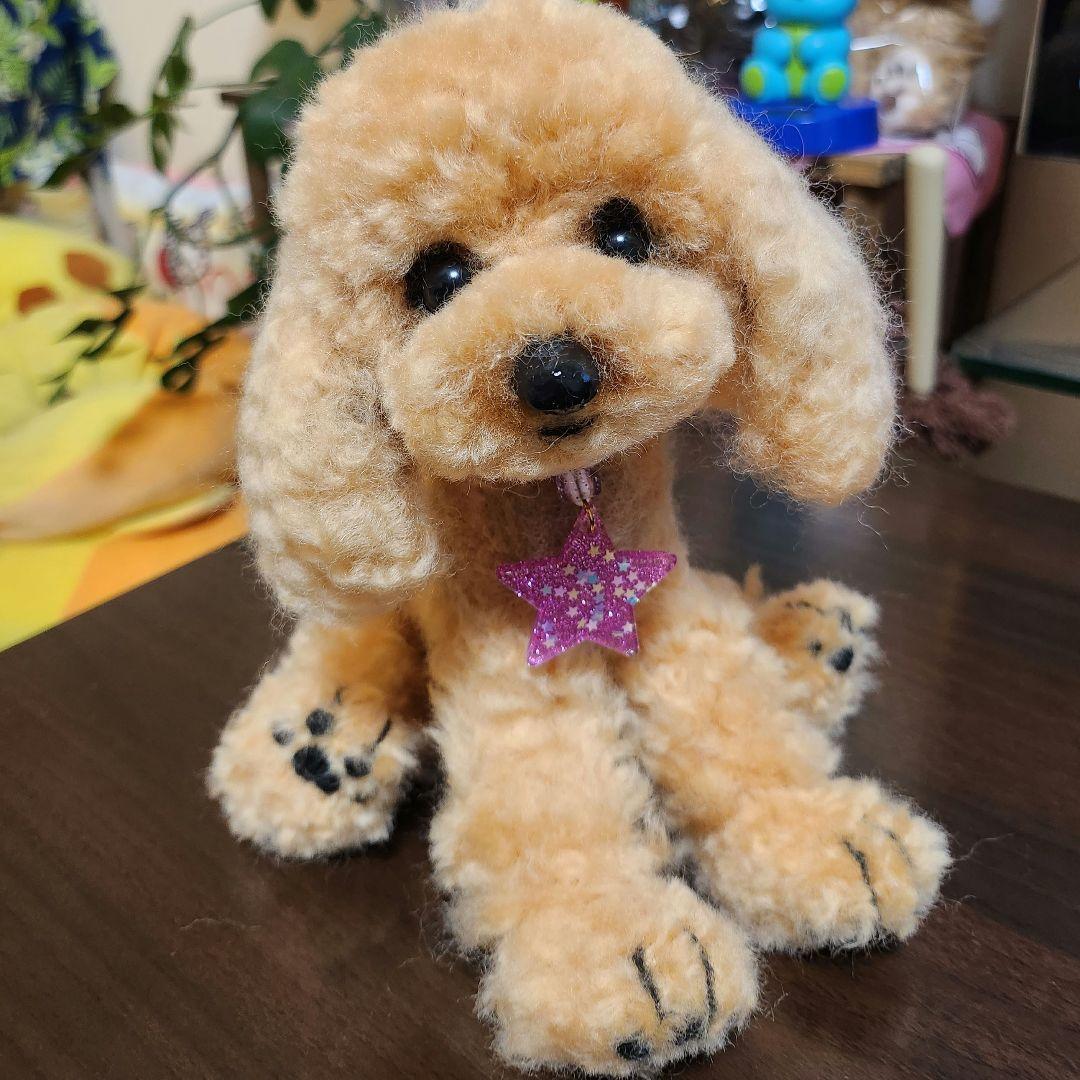 トイプードル❤️羊毛フェルト❤️　　　　　　　　　　　　　　　お迎え決まりました