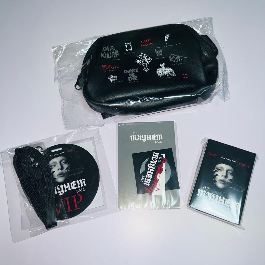 Lady Gaga レディーガガ VIP SILVER 特典 【新品未開封】 - メルカリ