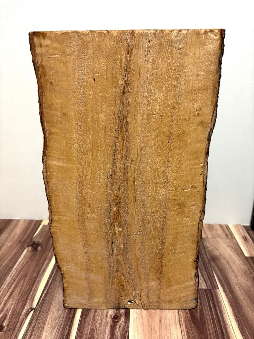 天然木 サルノコシカケ風 オブジェ 置物 大型 木製キノコ インテリア