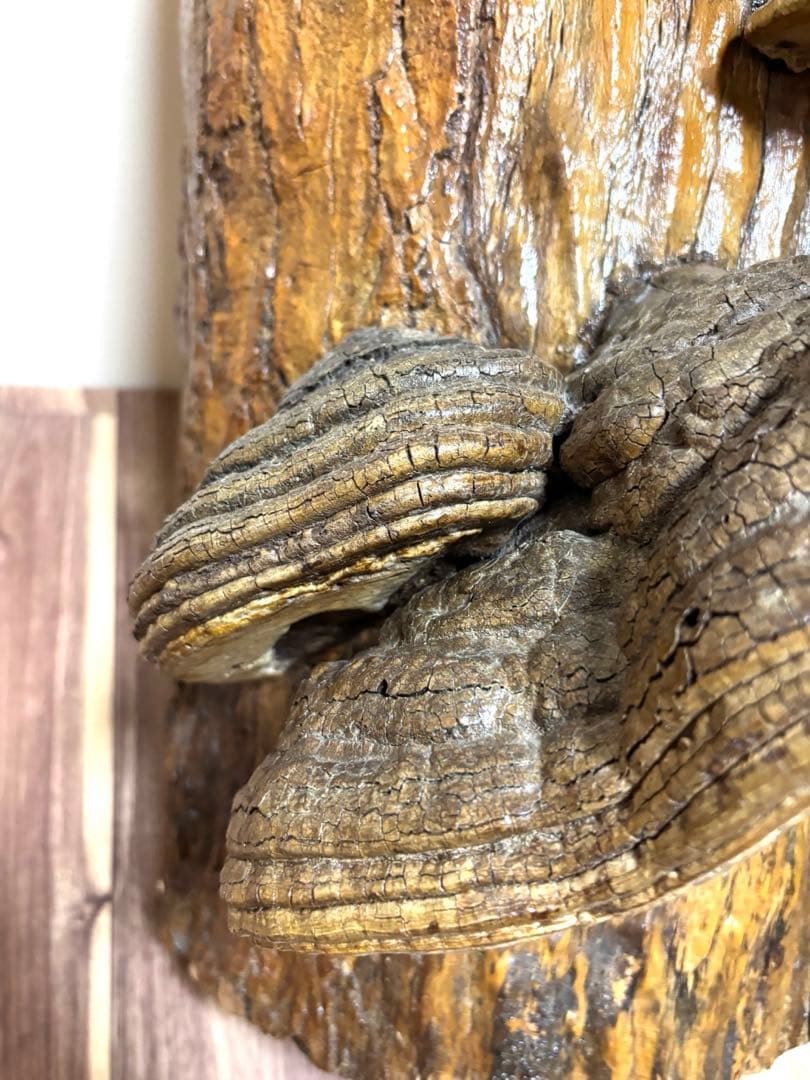 天然木 サルノコシカケ風 オブジェ 置物 大型 木製キノコ インテリア