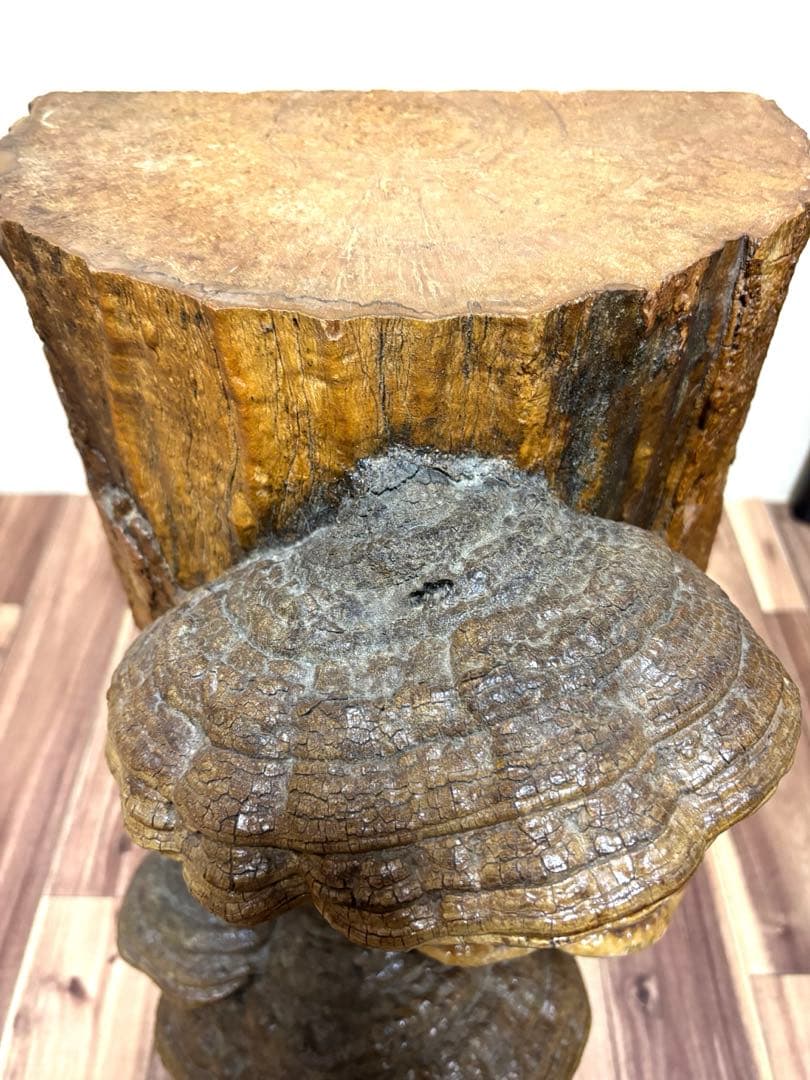 天然木 サルノコシカケ風 オブジェ 置物 大型 木製キノコ インテリア