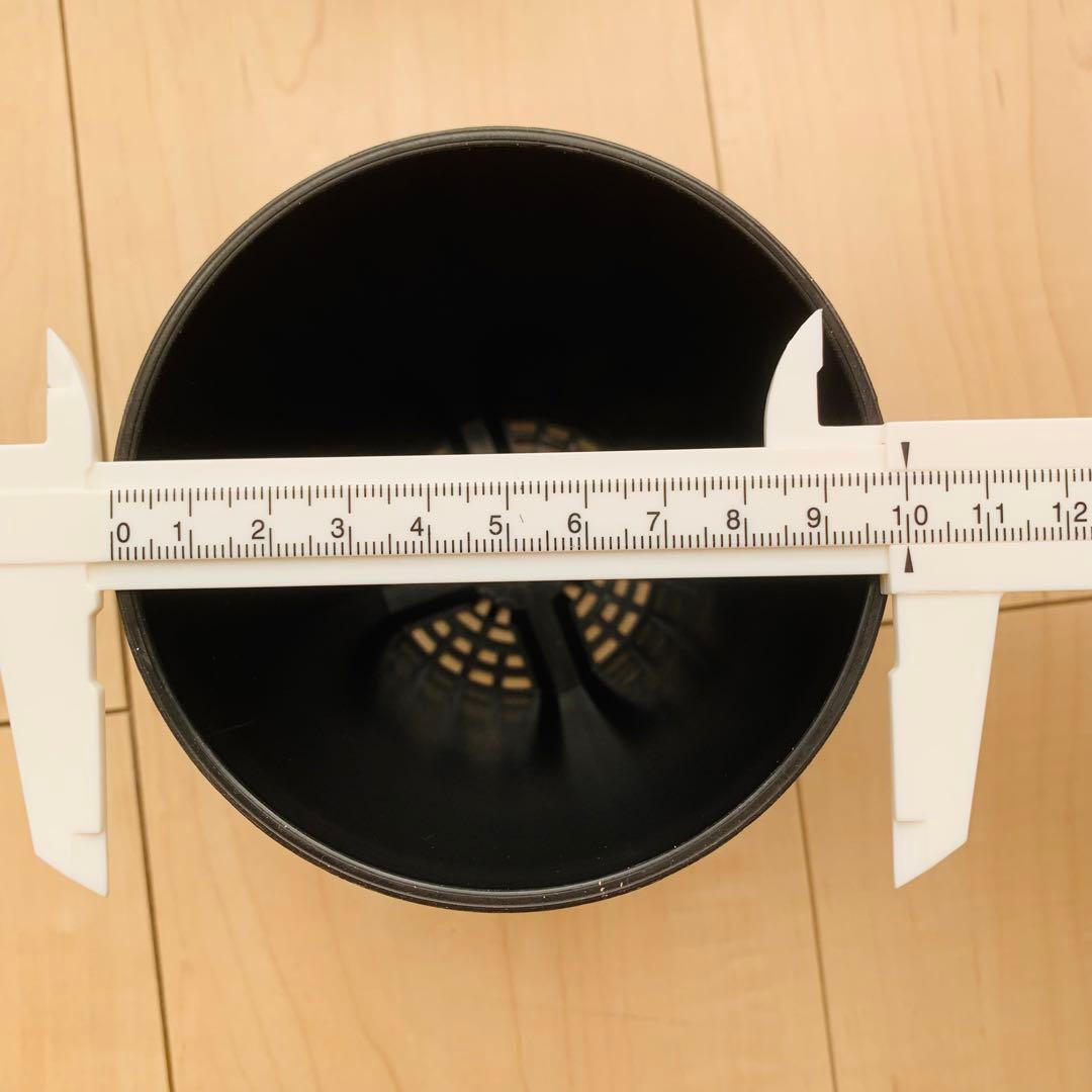 巨大株 胴太白衣ホリダ 8.5cm 3.5寸 ♯ 美形美白 ユーフォルビア