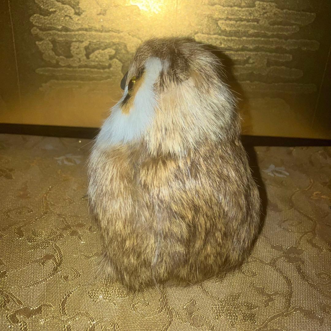 《特級呪物》怪奇現象が起きる梟の置物　曰く付き　縁起物