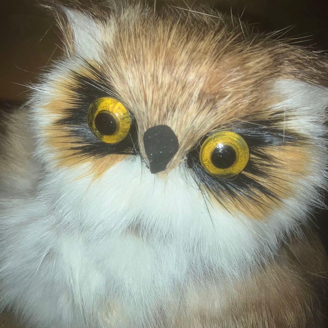 《特級呪物》怪奇現象が起きる梟の置物　曰く付き　縁起物