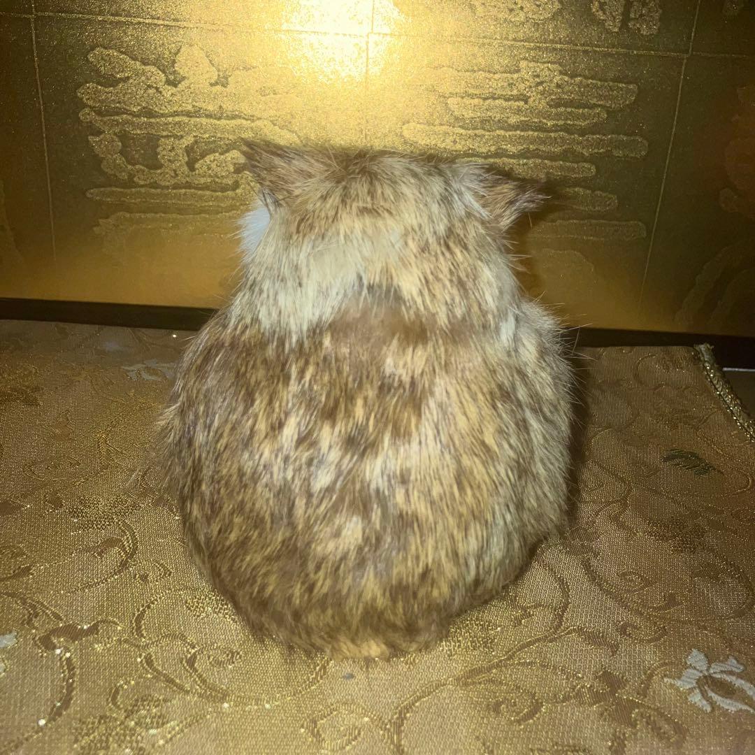 《特級呪物》怪奇現象が起きる梟の置物　曰く付き　縁起物