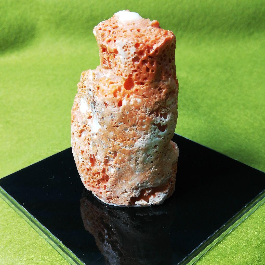 貴重　宝石珊瑚　夫婦ふくろう　彫刻置物　3578