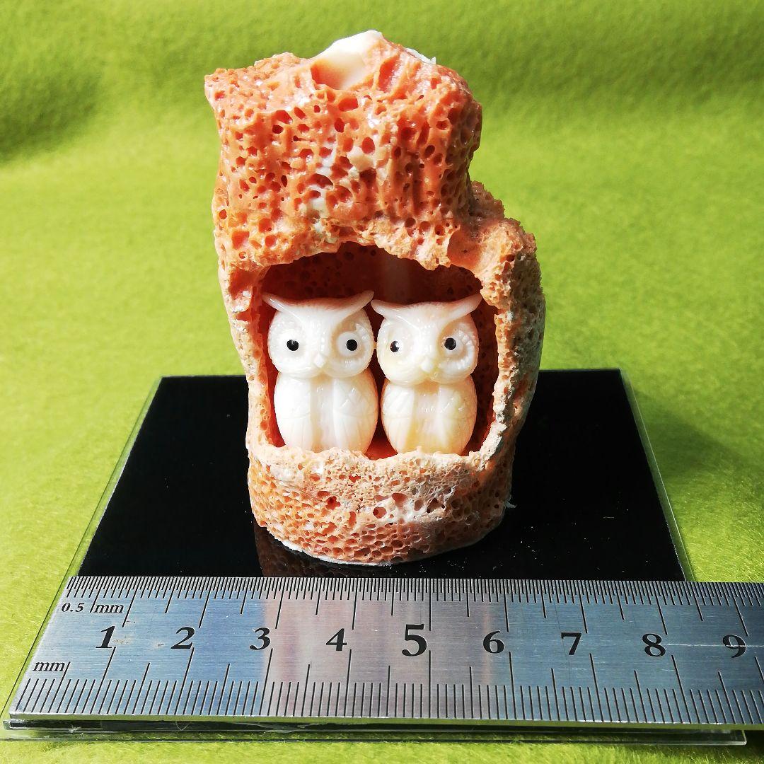 貴重　宝石珊瑚　夫婦ふくろう　彫刻置物　3578