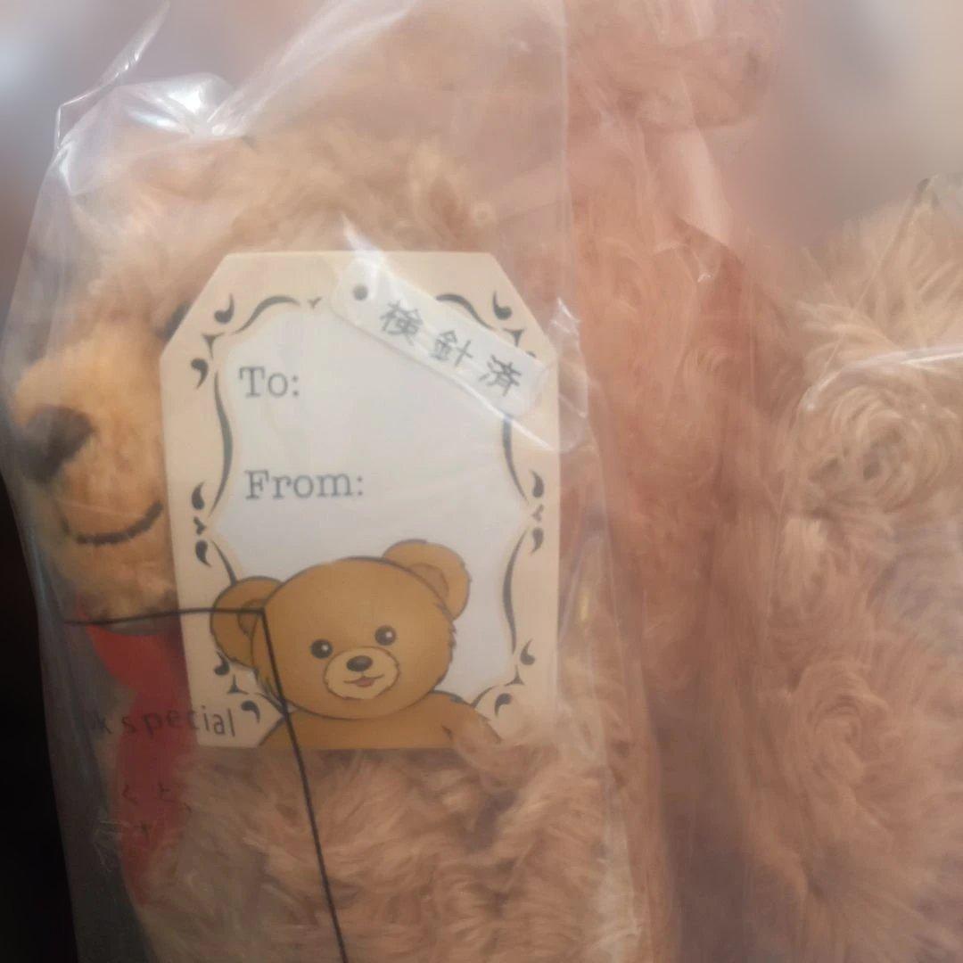 ハニーテディベア★ファミリー★ベビー、ガール、ボーイぬいぐるみ&バックパック