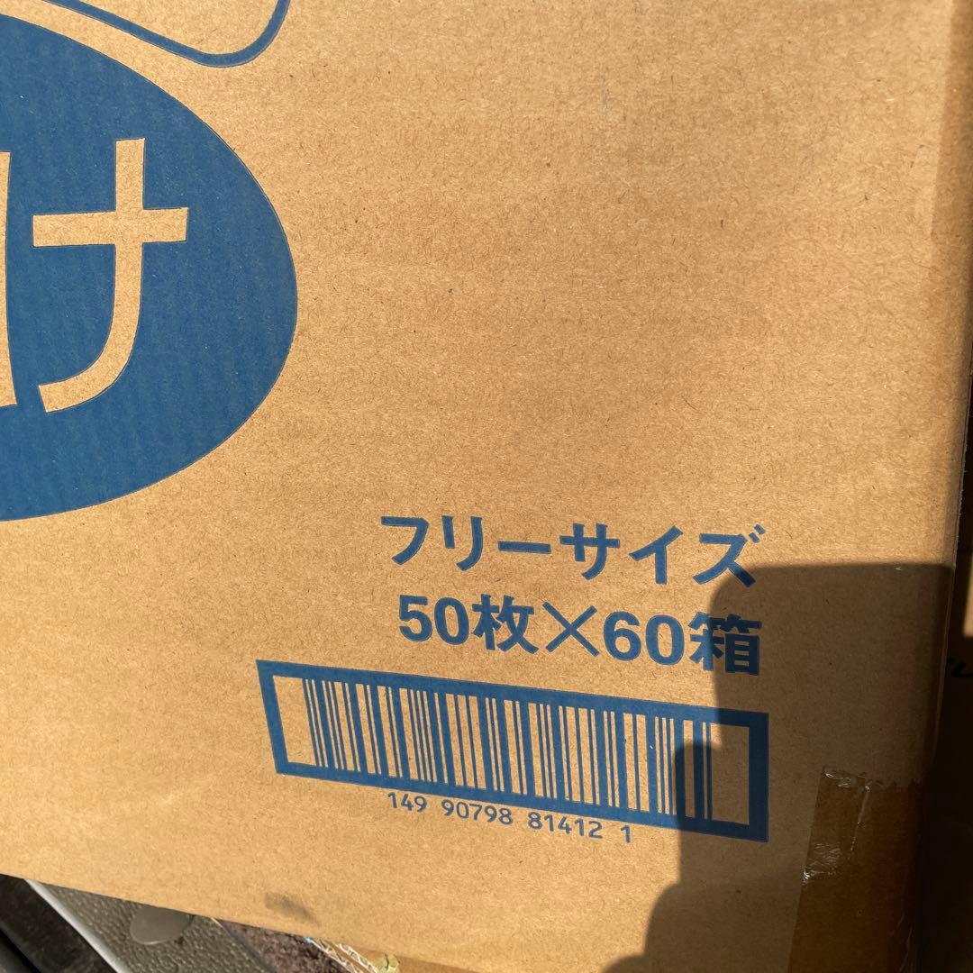 クリーンマスク 頭掛け 樹脂製Wブリッジタイプ 50枚×60箱 ショップ