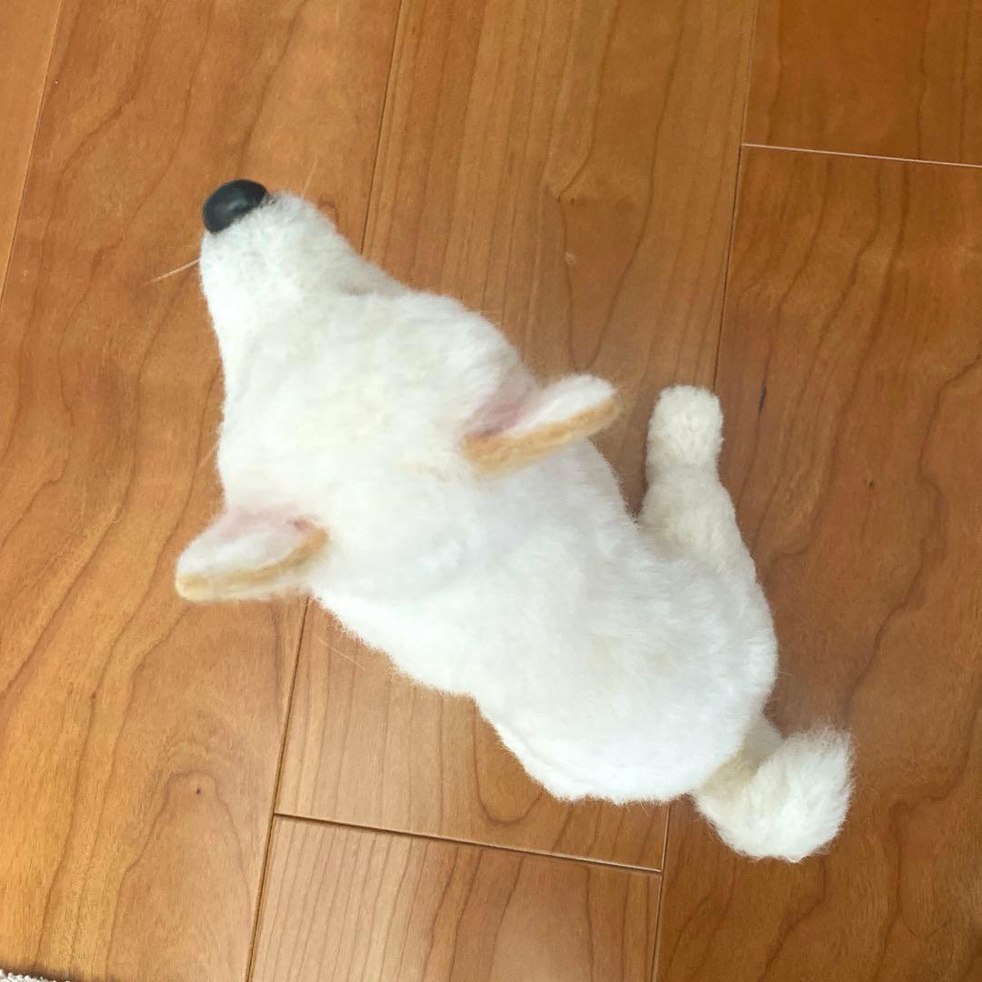 羊毛フェルト 白柴 紀州犬 白い子犬 パピー犬 - メルカリ