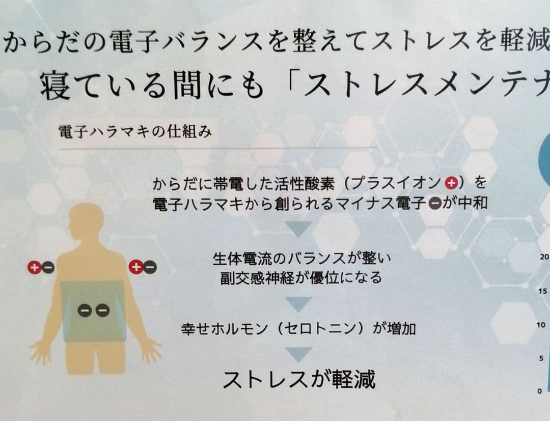 新品 正規品 BIYURA 電子ハラマキ ブラック