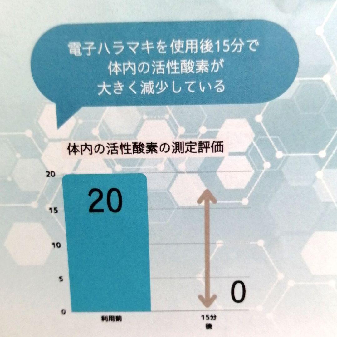 新品 正規品 BIYURA 電子ハラマキ ブラック