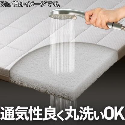 ニトリ　Nブレス　プラスエア　(旧モデル)