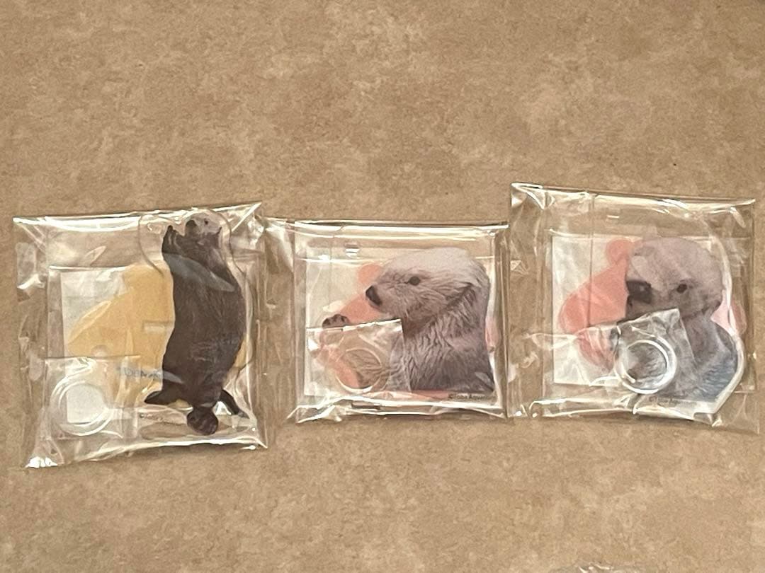 鳥羽水族館　ラッコのメイちゃんくじリターンズ！　フォトフレーム　ペンスタンド　他