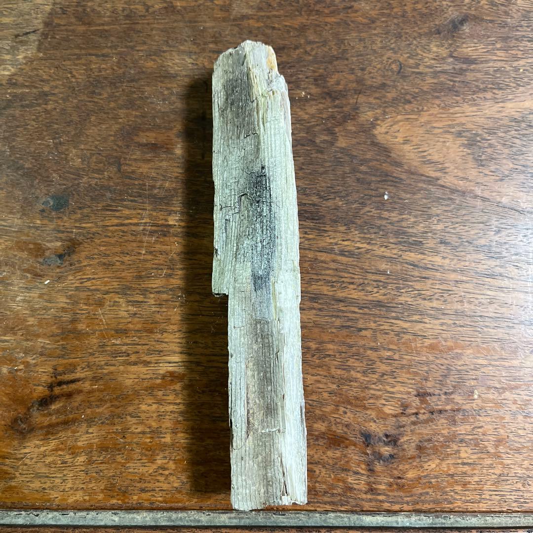 木の化石4点セット - メルカリ