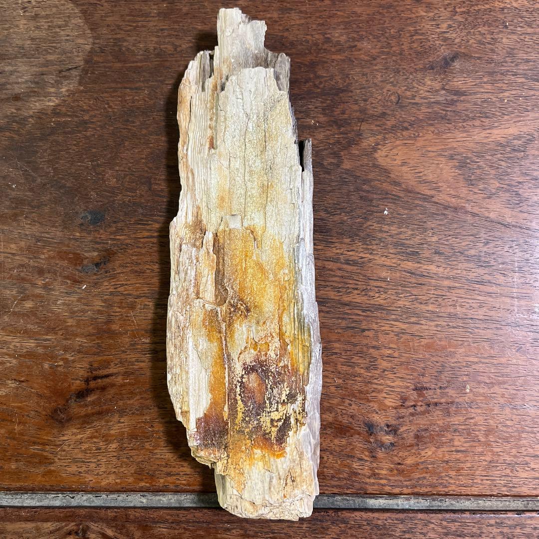 木の化石4点セット - メルカリ