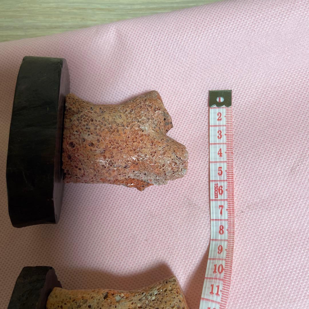 桃サンゴ？ 珊瑚風 置き物 2点まとめ売り - メルカリ