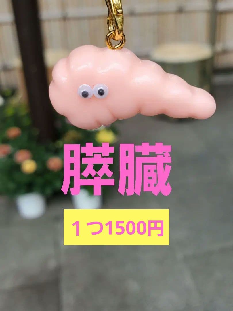 脾臓膵臓臓器手作りキーホルダー看護オペ