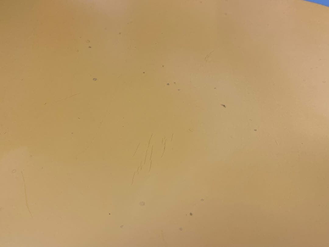 Fritz Hansen フリッツハンセン セブンチェア 1996年製 杏