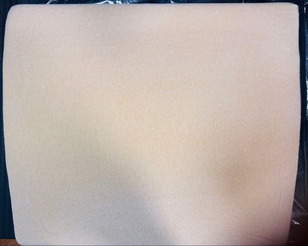 脳呼吸枕(脳脊髄液調整法 宮野博隆)