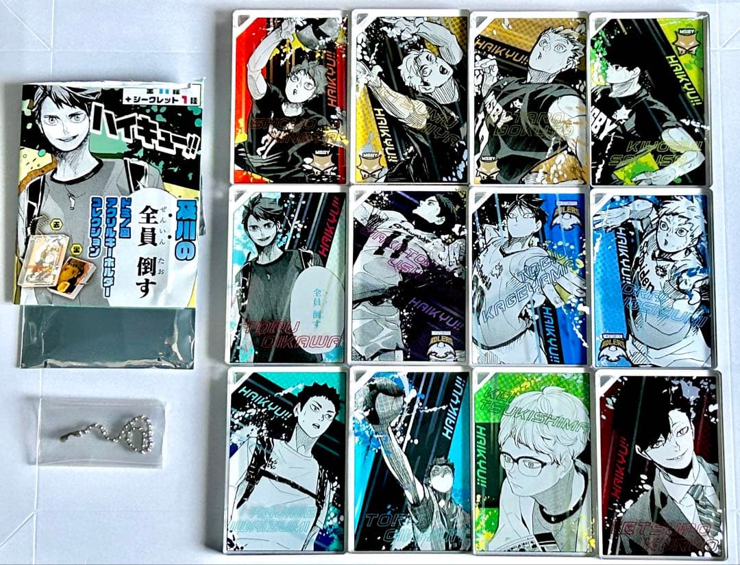 ハイキュー ドミノ風アクリルキーホルダーコレクション 全12種コンプ