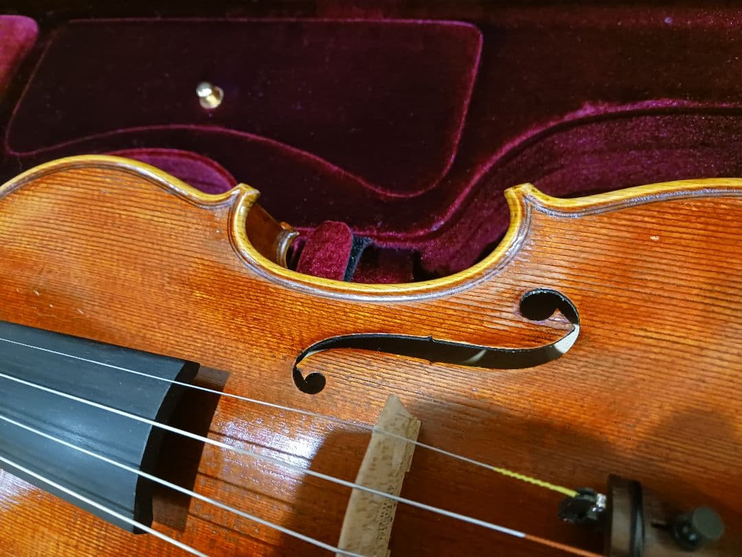 Ferenc Bela Vaci CDM-R 2006 4/4バイオリン 中古 - メルカリ