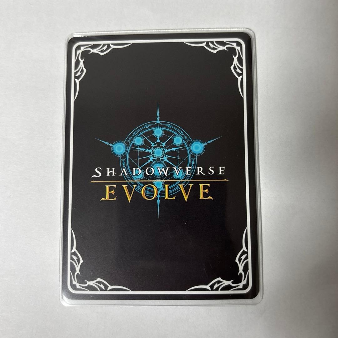 景*清様 シャドウバースエボルヴ プリコネ ランファ&ミソラ ミソラ