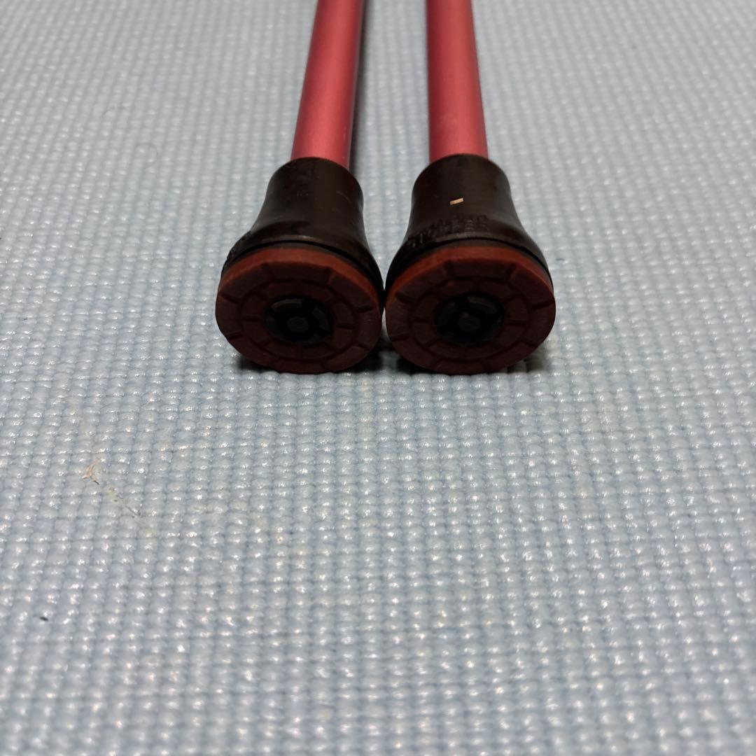 ウォーキングポール　シナノ製