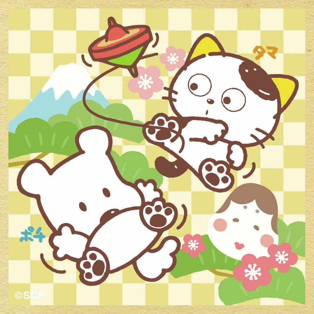 うちのタマしりませんか　正方形8