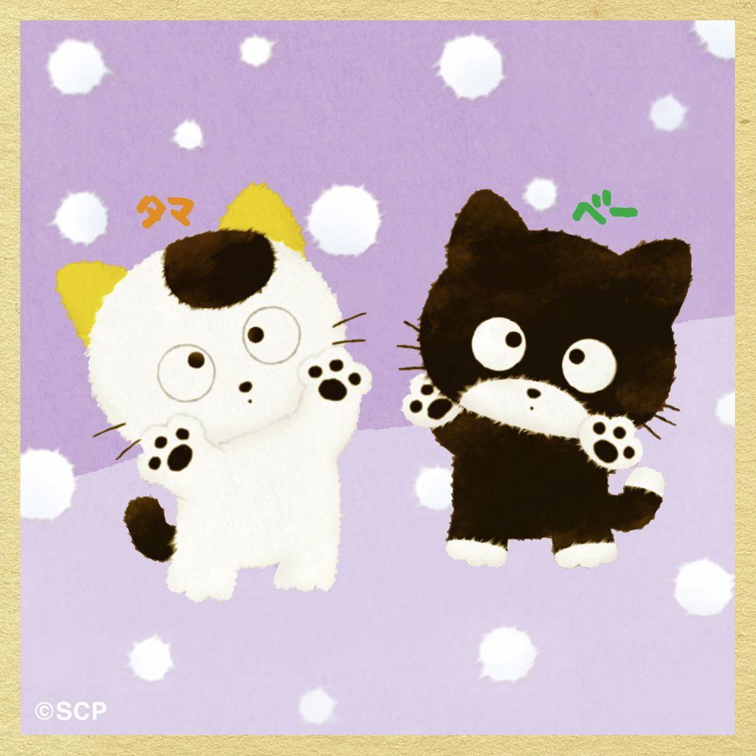 うちのタマしりませんか　正方形8