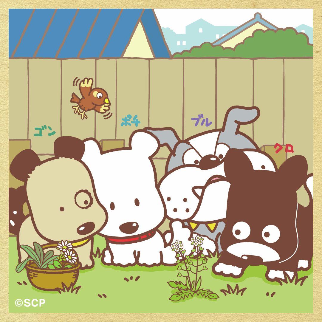 うちのタマしりませんか　正方形8