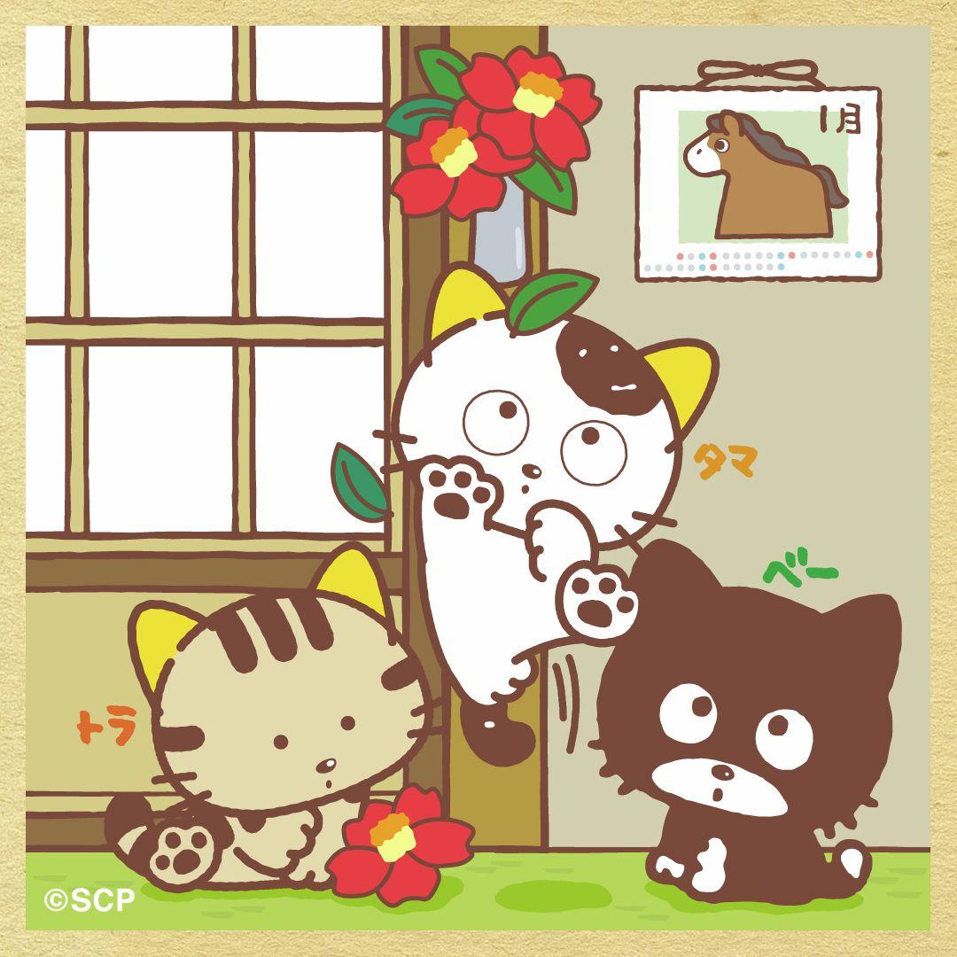 うちのタマしりませんか　正方形8